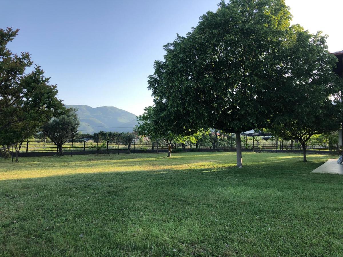 Olybos Suite Leptokarya  Dış mekan fotoğraf